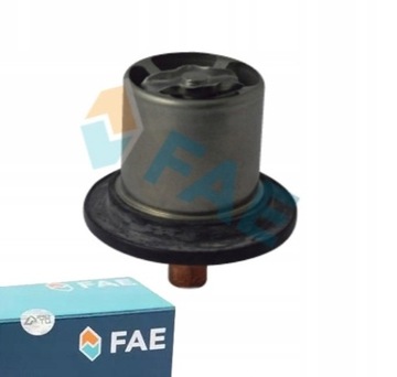TERMOSTAT FAE do CITROEN C6 3.0 V6