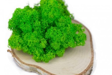 Мох крабовый МИКС ЦВЕТОВ 100 г ПРЕМИУМ