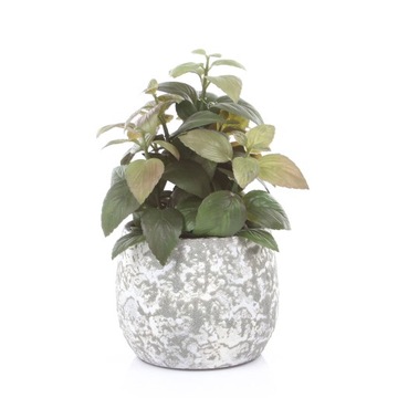 ЗОЛОТО декоративные цветочные горшки Клементе 16/13 керамика