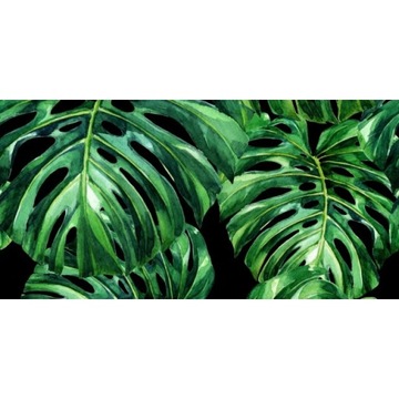 Płytka ścienna dekor MONSTERA BLACK B połysk 30x60