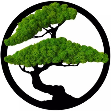 Obraz z mchu drzewo bonsai drzewko na prezent naturalny mech chrobotek 30cm