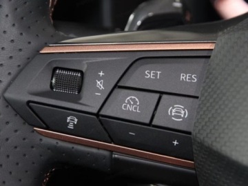 Cupra Formentor Crossover 1.5 TSI 150KM 2025 CUPRA Formentor 1.5 e-TSI DSG Suv 150KM 2025, zdjęcie 13