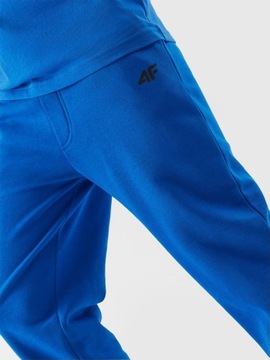 4F СПОРТИВНЫЕ БРЮКИ ДЛЯ МАЛЬЧИКОВ, ДЖОГГЕРЫ, ДЕТСКИЕ СПОРТИВНЫЕ БРЮКИ ВЛ. ВЛ.24