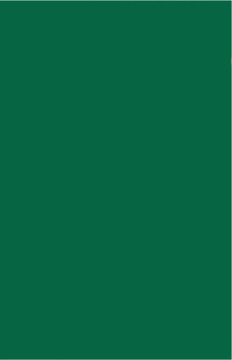 Brystol Karton A4 170g 25 ark 21x29,7 cm C.zielony