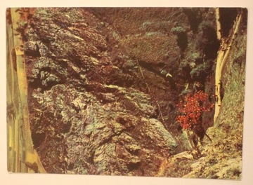 MAŁE PIENINY. Wąwóz Homole, CZYSTA