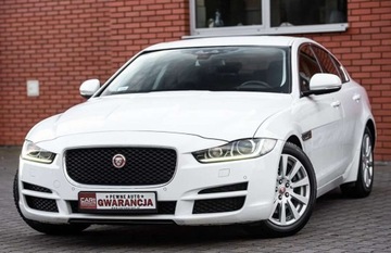 Jaguar XE Sedan 2.0 i4 180KM 2015 Jaguar XE R-SPORT 2.0D 180Ps Ledy Automat 4x4 Xenon Skora Navi 1 wl. Salon, zdjęcie 9