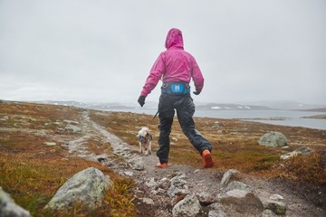 Ремень FERD Non-Stop для собак (М) синий