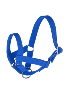 Kantar dla lam i alpak Kerbl 03-0079 60 cm niebieski