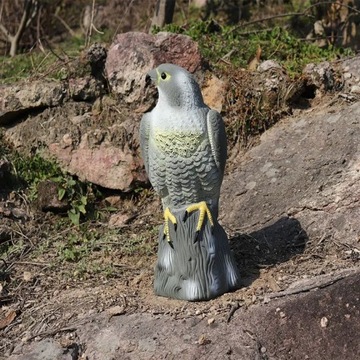 Ястреб, отпугиватель птиц, голуби, скворцы, сокол