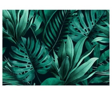 Fototapeta 312x219cm dżungli z monstera bananowce