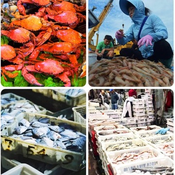 ДЛИННЫЕ ЗАЩИТНЫЕ ВОДОНЕПРОНИЦАЕМЫЕ САДОВЫЕ ПЕРЧАТКИ ДЛЯ РЫБАЛКИ В ПРУДЕ 70см