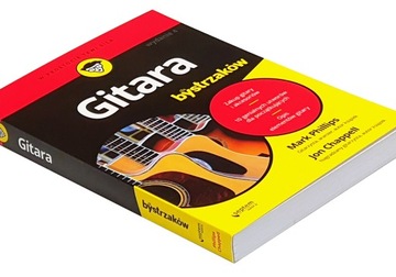 Гитара для чайников в 2022 году.