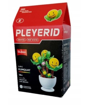 НАБОР РАЗНОЦВЕТНЫХ ЦВЕТОВ В ГОРШКАХ SLUBAN BLOKS B1073 A-F