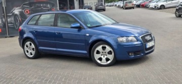 Audi A3 8P Hatchback 3d 1.9 TDI 105KM 2004 Audi A3 Sportback 1,9TDI 105 KM Alu Klima Import Raty Oplaty ASO 1.9, zdjęcie 17