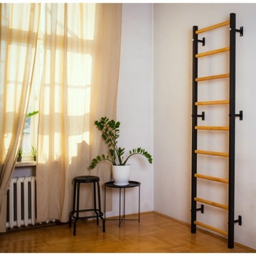 Гимнастическая лестница для упражнений на станке.