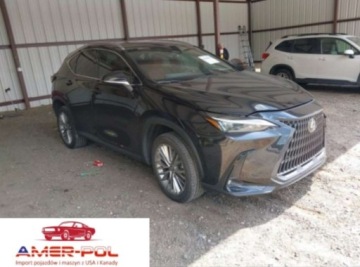 Lexus NX II 2023