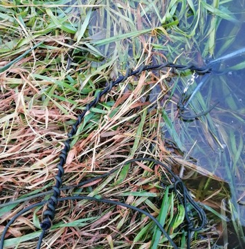 ПОВОДОК TOMCAT CATHOF С ПОДУШКОЙ, 5 М