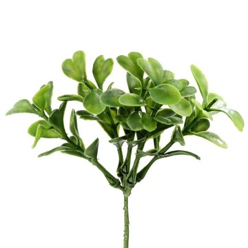 Gałązka bukszpanu borówka bukszpan z odrostami na drucie WIELKANOC 19cm/1sz