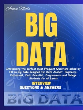 Mills, Aimee BIG DATA: Introducing the Perfect Most Frequent Questions aske