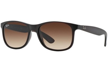 Okulary przeciwsłoneczne Ray-Ban Andy RB4202