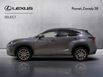 Lexus NX I SUV 200t 238KM 2017 Lexus NX 300 Comfort AWD I (2014-2021) Lexus NX 30, zdjęcie 1
