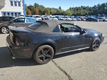 Ford Mustang IV 1999 Ford Mustang Cobra Svt 1999 4.6l 4.6 Benzyna 320KM, zdjęcie 3