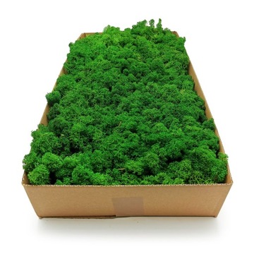 Mech chrobotek Alpejski 500g