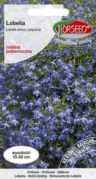 Lobelia - Stroiczka jasnoniebieska 0,2g nasiona Torseed