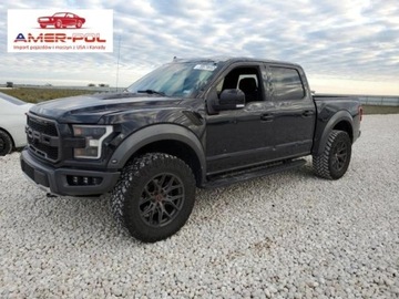 Ford 2019 Ford F150 Ford F-150 Raptor 4WD, od ubezpieczalni, po gradobiciu