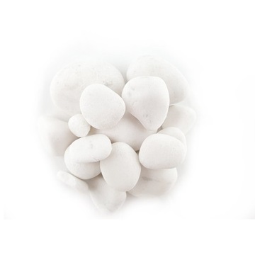 МикроКлимат НАБОР 25 см лес своими руками в банке