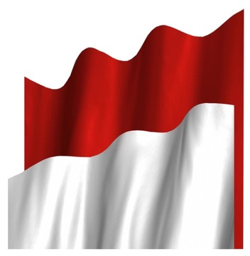 Flaga sygnalizacyjna chorągiew plaża 100x70 czerwo