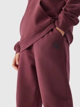 ДЕТСКИЕ СПОРТИВНЫЕ БРЮКИ 4F ДЛЯ МАЛЬЧИКОВ, ХЛОПОК AW23M419