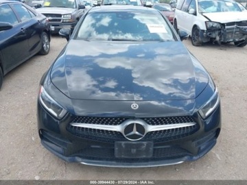 Mercedes CLS C257 2019 Mercedes-Benz CLS 2019r, 450, 3.0L 3.0 Benzyna 362KM, zdjęcie 2