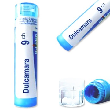 Boiron Dulcamara 9CH 4 g
