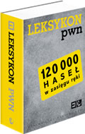 Leksykon PWN 120 000 HASEŁ /FOLIA/