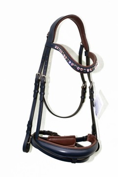 Профилированная анатомическая команда полна