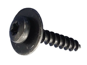 10x RENAULT CLIO 2 3 4 5 MEGANE 2 3 4 MODUS SCENIC 2 3 WKRĘT 5x24 TORX