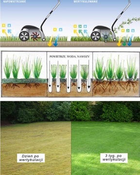 DAEWOO Скарификатор АЭРАТОР БЕНЗИНОВЫЙ АЭРАТОР 40см 2-РОЛИКОВЫЙ