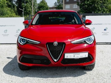 Alfa Romeo Stelvio SUV Facelifting 2.0 Turbo 200KM 2021 Alfa Romeo Stelvio WD4400S#2.0 Turbo TI Q4, zdjęcie 6