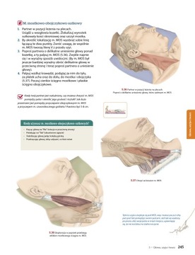 Путеводитель по путям тела, 6-е издание - Эндрю Бил