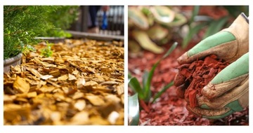 ДЕКОРАТИВНЫЕ ЧИПСЫ COLORUL BARK 50л Red CHIP