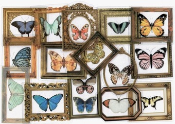 Zestaw 40 naklejek do scrapbooking moty motyle