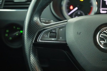 Skoda Octavia III Liftback Facelifting 1.6 TDI 115KM 2019 Skoda Octavia 1.6 TDI, Salon Polska, zdjęcie 12