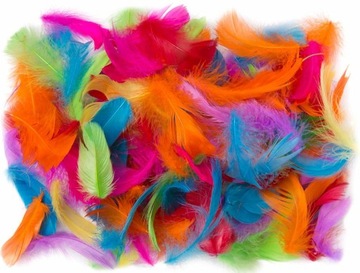 PIÓRKA OZDOBNE pióra DPCraft kolorowe MIX 10g