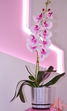 Вазон 18, BLUE HEARTS, детский чехол