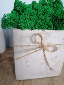 Бетонный вазон с мхом Хроботек, подарок