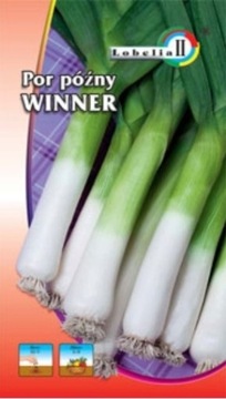 POR późny WINNER NASIONA 1G ODPORNYY NA ZIMĘ