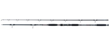 WĘDKA SUMOWA JAXON ECLATIS CAT FISH 3,15m / 500g