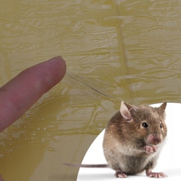 20 крыс-мышеловок BUZZRAPE LEP TRAPP!