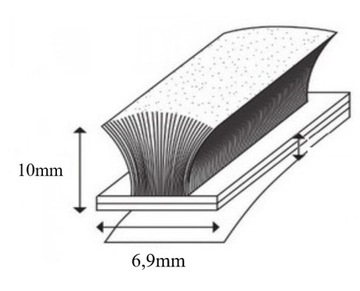 SZCZOTKA OBOJOWA SAMOPRZYLEPNA – 10mm x 6,9mm